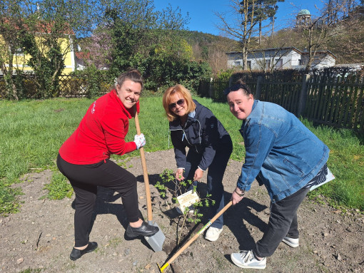 Ortgruppe Berndorf/Ortsgruppe St. Veit/Triesting