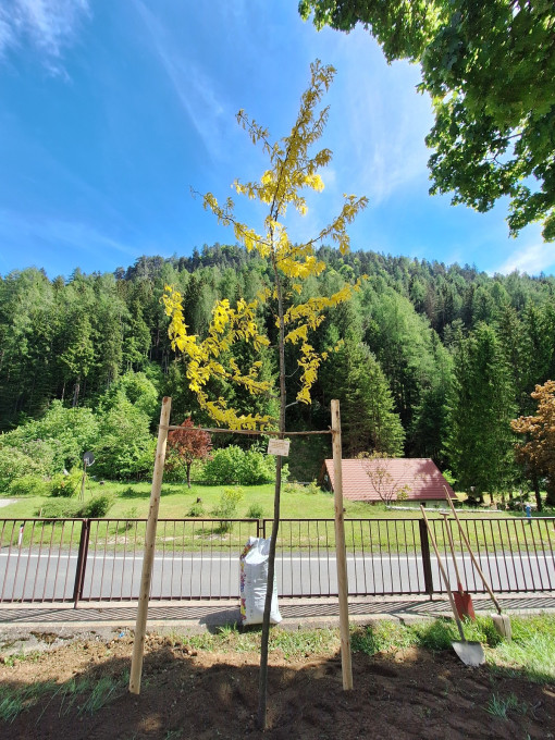 Kinderfreunde Kreuth bei Bad Bleiberg