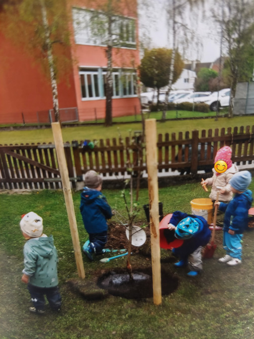 TBE Amstetten