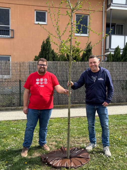 KF Zillingdorf-Werk mit Lichtenwörther Karosserie & Lackierzentrum
