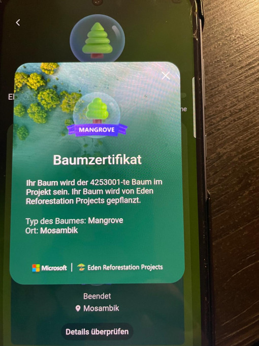 Ilonka Rurländer