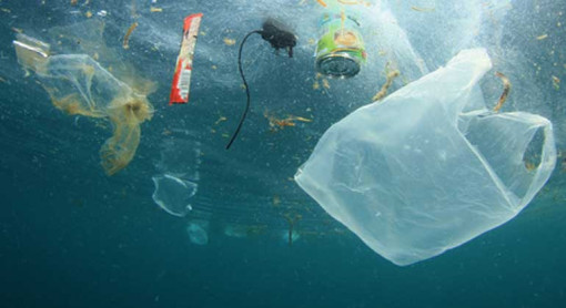 Unterwasseraufnahme mit verschiedenen Abfällen im Meer. Deutlich sichtbar sind eine große, durchsichtige Plastiktüte im Vordergrund, eine Getränkedose, eine Chipstüte und weitere Kunststoffreste, die zwischen kleinen Algenresten treiben. Das Bild verdeutlicht, wie unterschiedlichste Plastikarten im Meer schweben und von Tieren leicht mit Nahrung verwechselt werden können.