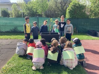 Kinderfreunde Kindergarten, 1110 Wien, Am Hofgartel 3