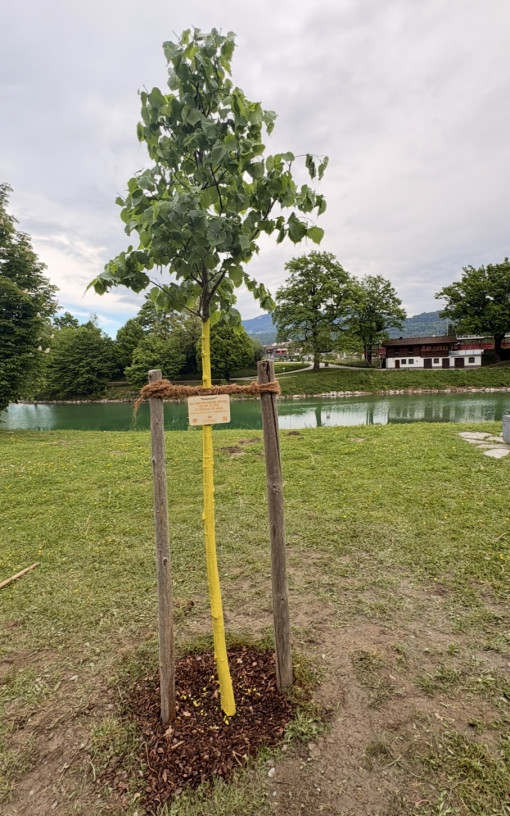 Kinderfreunde Ortsgruppe Kuchl