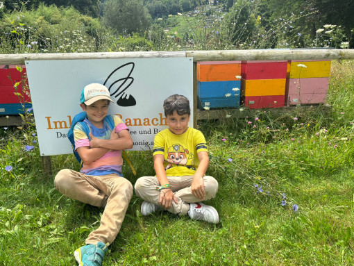 Zwei Kinder sitzen im Gras vor einem Schild einer Imkerei. Hinter ihnen stehen bunte Bienenkästen. Die Wiese ist voller Blumen.