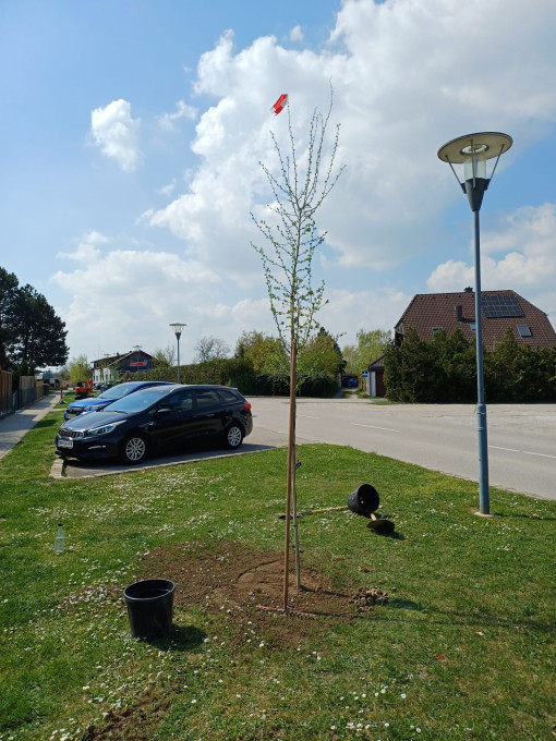 KF Zillingdorf-Werk mit Schwarz Markus Installationen für Matyas und Mara