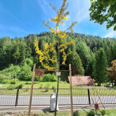 Kinderfreunde Kreuth bei Bad Bleiberg