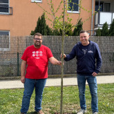 KF Zillingdorf-Werk mit Lichtenwörther Karosserie & Lackierzentrum