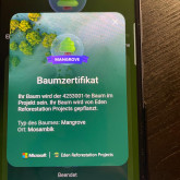 Ilonka Rurländer