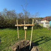 Kinderfreunde Retz