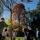 Kinderfreunde Wels Stadtmitte/Klimabande „The blue crazy turtles“