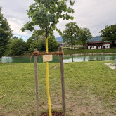 Kinderfreunde Ortsgruppe Kuchl