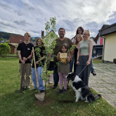OG Oberpichling- Köflach