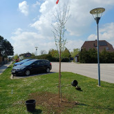 KF Zillingdorf-Werk mit Schwarz Markus Installationen für Matyas und Mara